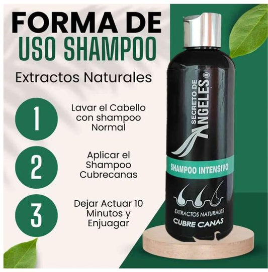 SHAMPOO ANTICANAS SECRETOS DE ANGELES-A